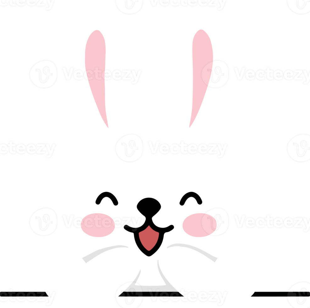 Easter Bunny Illustration png