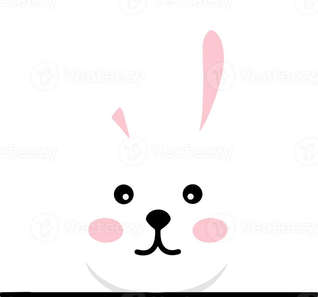 Easter Bunny Illustration png