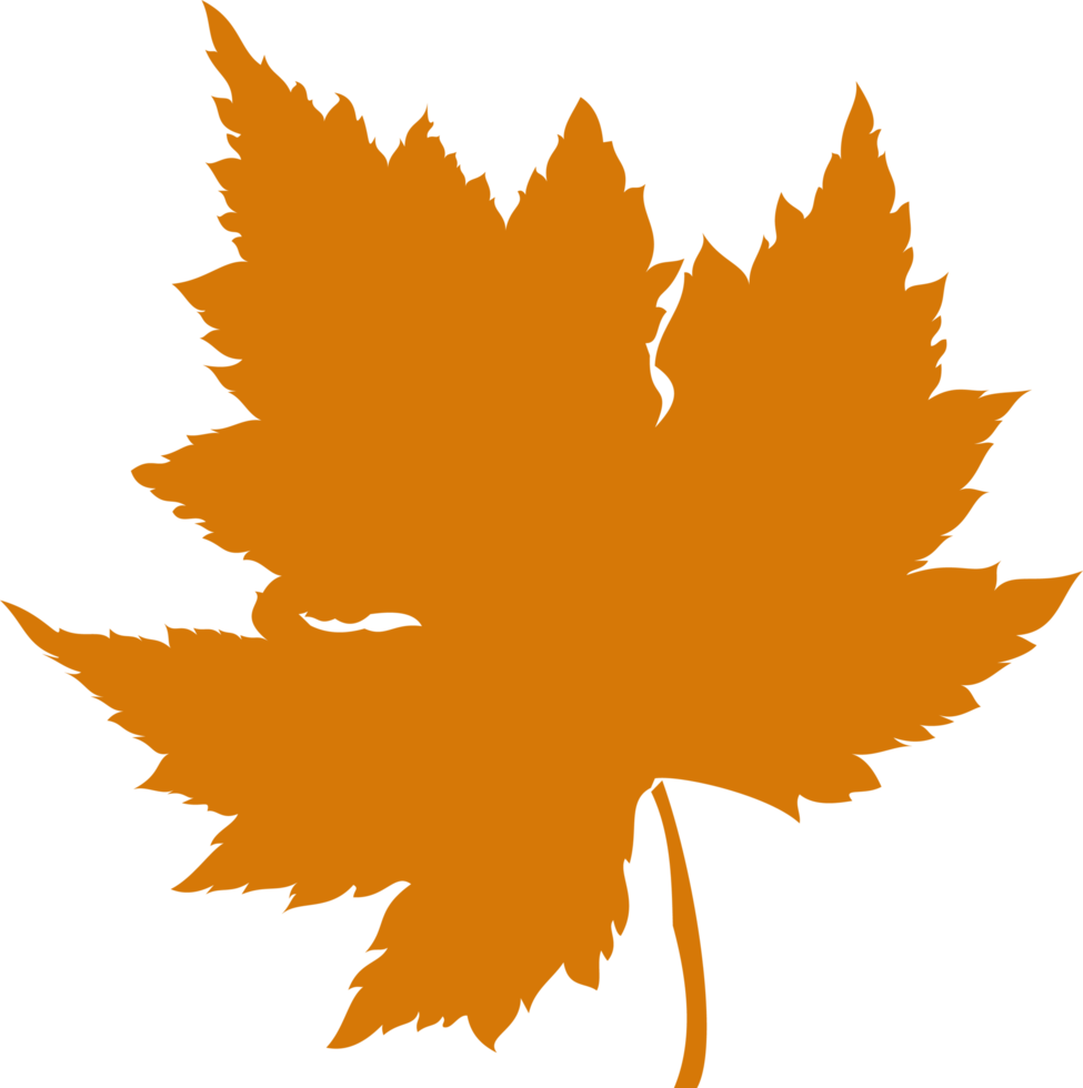 un' foglia di autunno le foglie ha un arancia colore png
