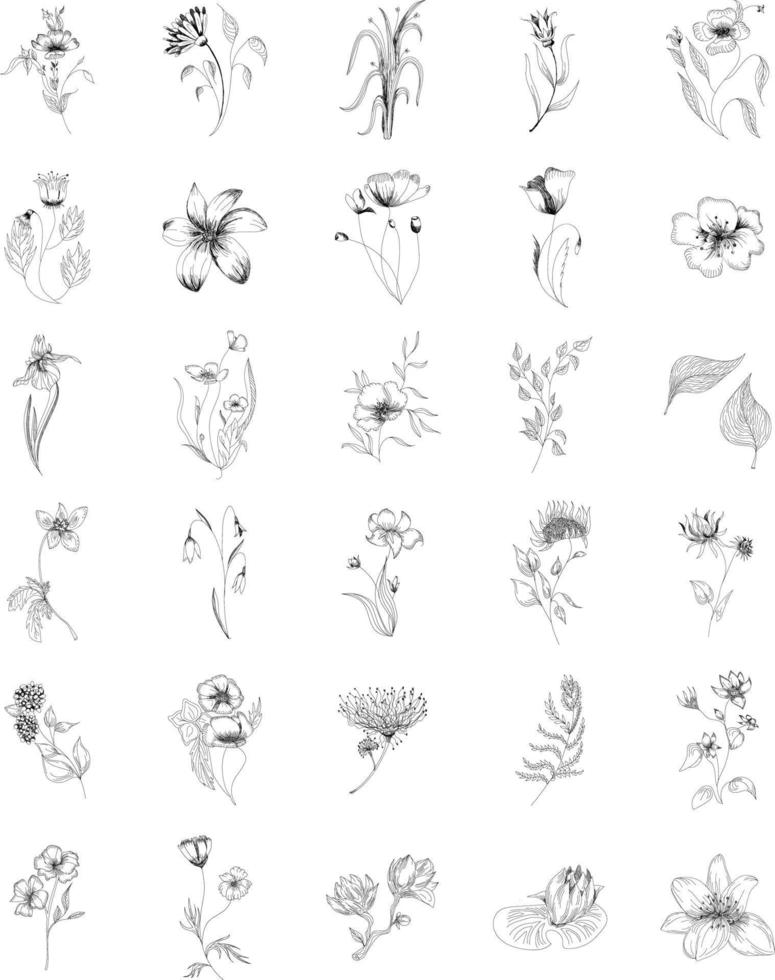 Vector illustrations Floral set flowers, leaves and branches. hand drawn design elements in sketch style. Perfect for invitations, greeting cards, tattoo, prints etc.