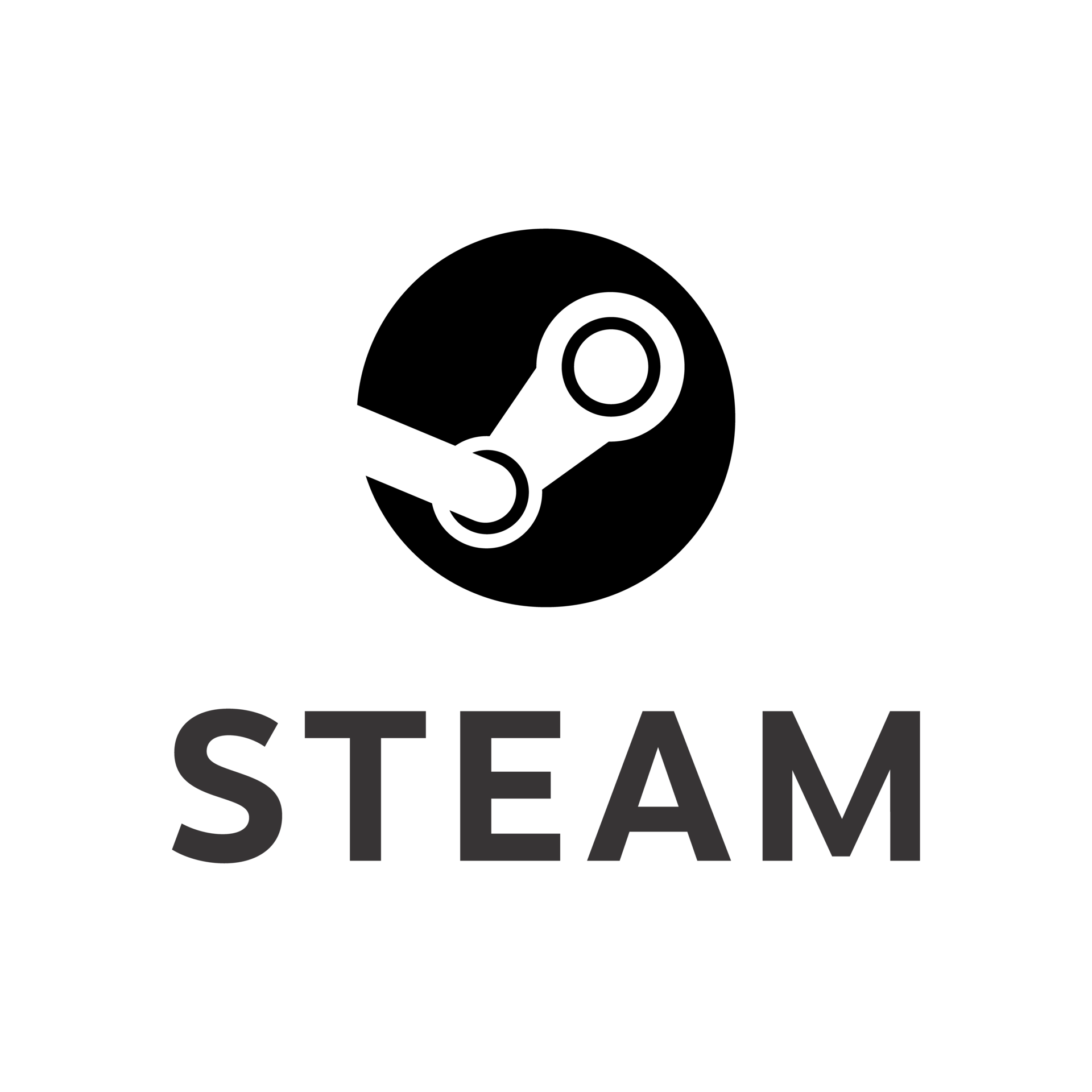 Steam icon ico фото 109
