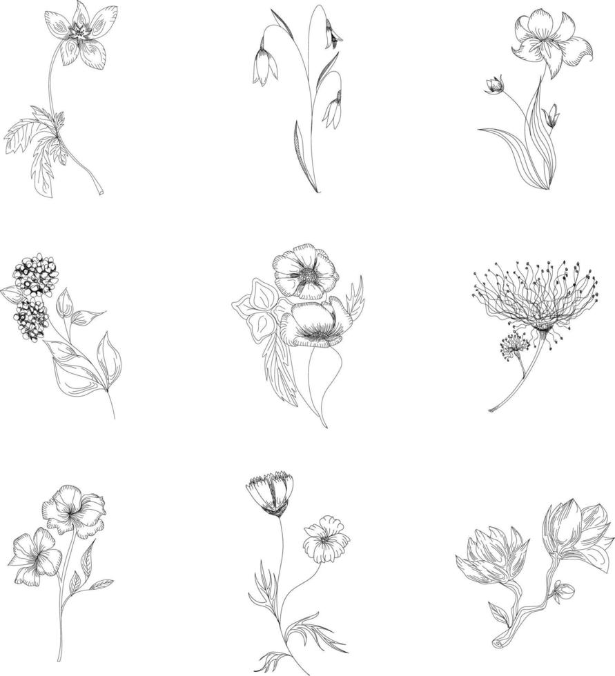 colección de mano dibujado flores y plantas. monocromo vector ilustraciones en bosquejo estilo