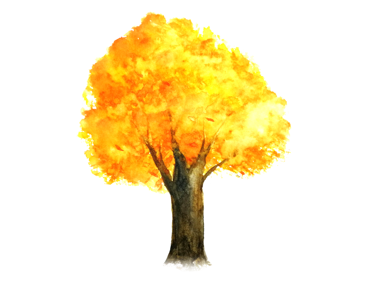 watercolor tree autumn season.yellow,orange leaf.png background. png