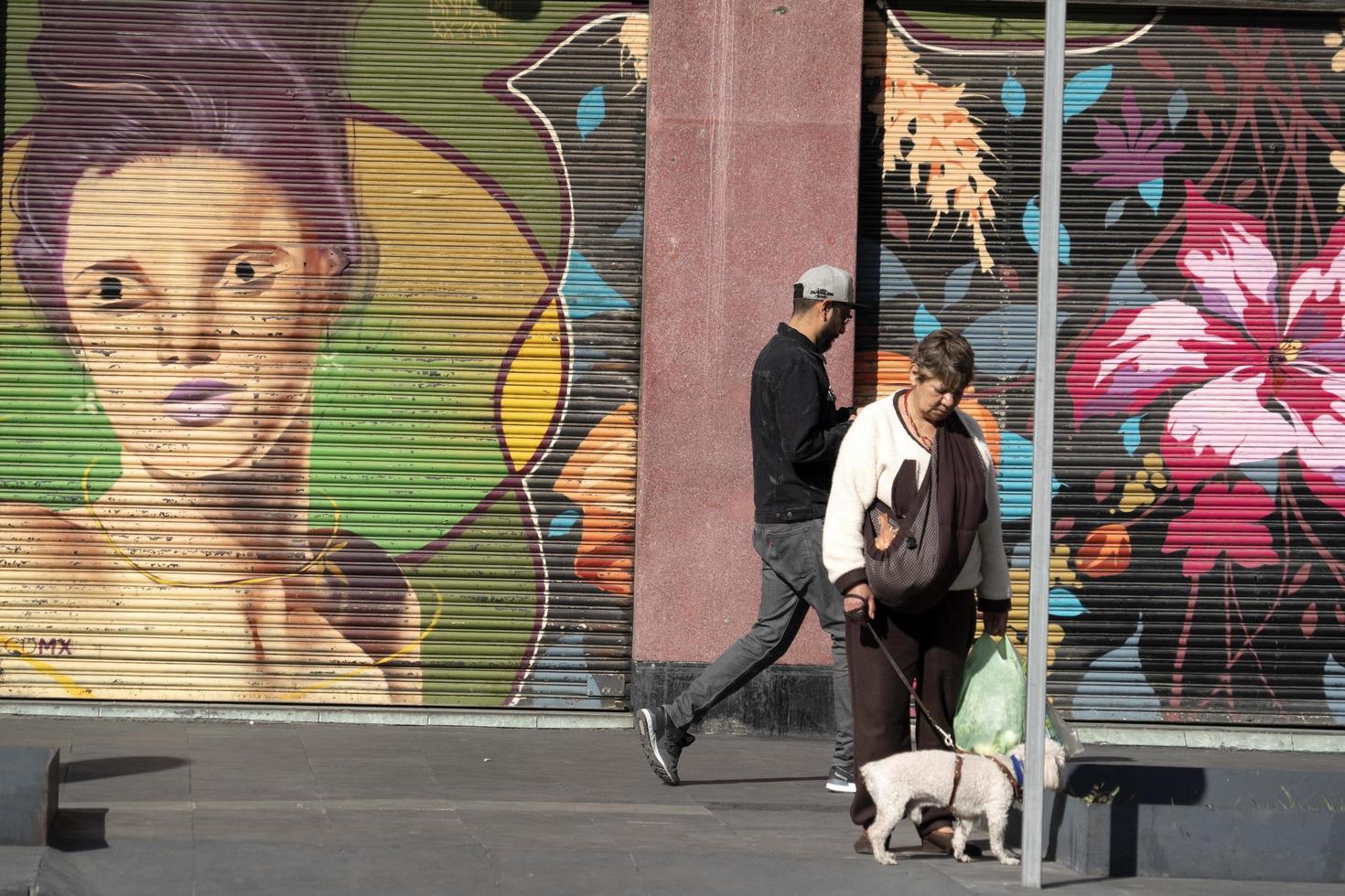 MEXICO CITY, MEXICO - JANUARY 30 2019 - All the shops roll down gates have spray painted graffiti photo