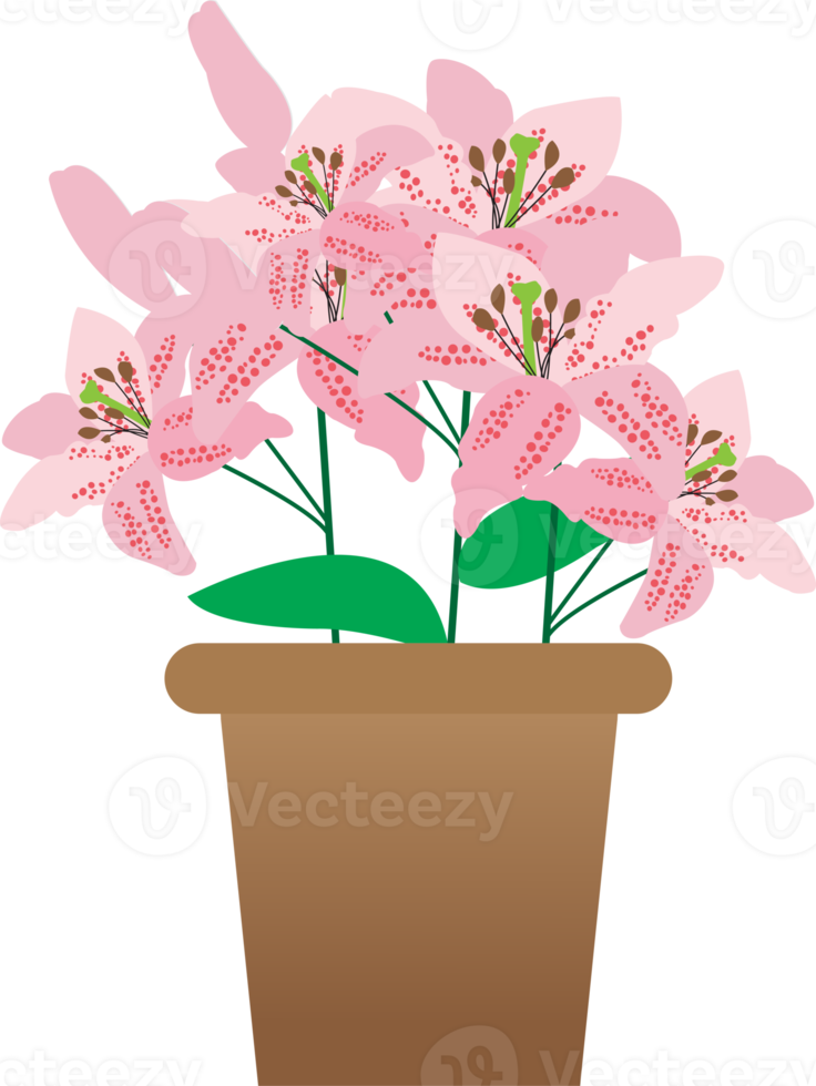 Rosa Lilie auf Vase zum Ostern. png