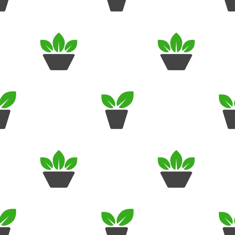 Plants in pots, seamless pattern, vector. vector