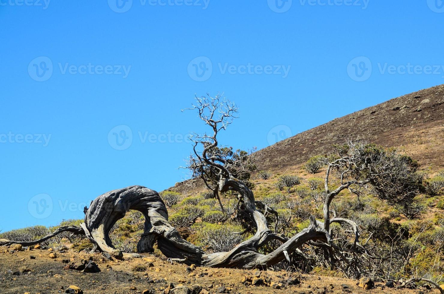 Scenic mountain landscape photo