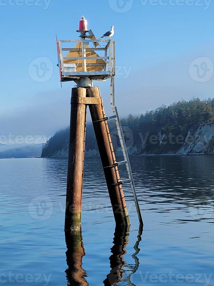 Seagull perched on wooden warning beacon photo