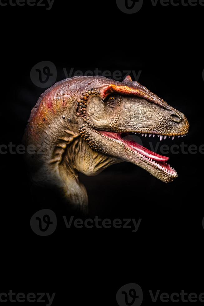 The head of Carcharodontosaurus in the dark , dinosaur on black background photo