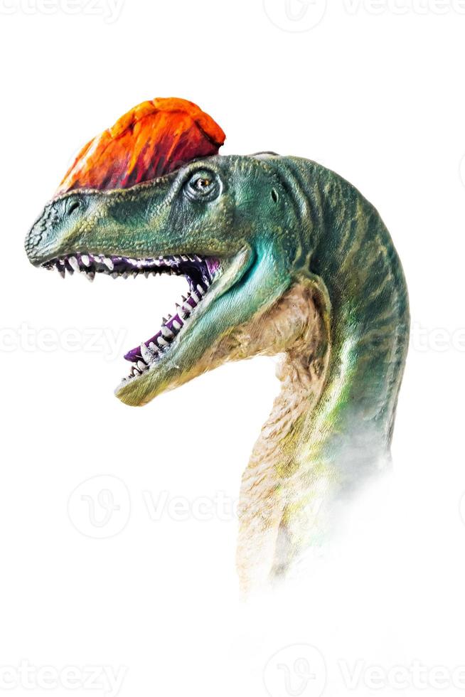 The head of  Dilophosaurus , dinosaur on  isolated background  . photo