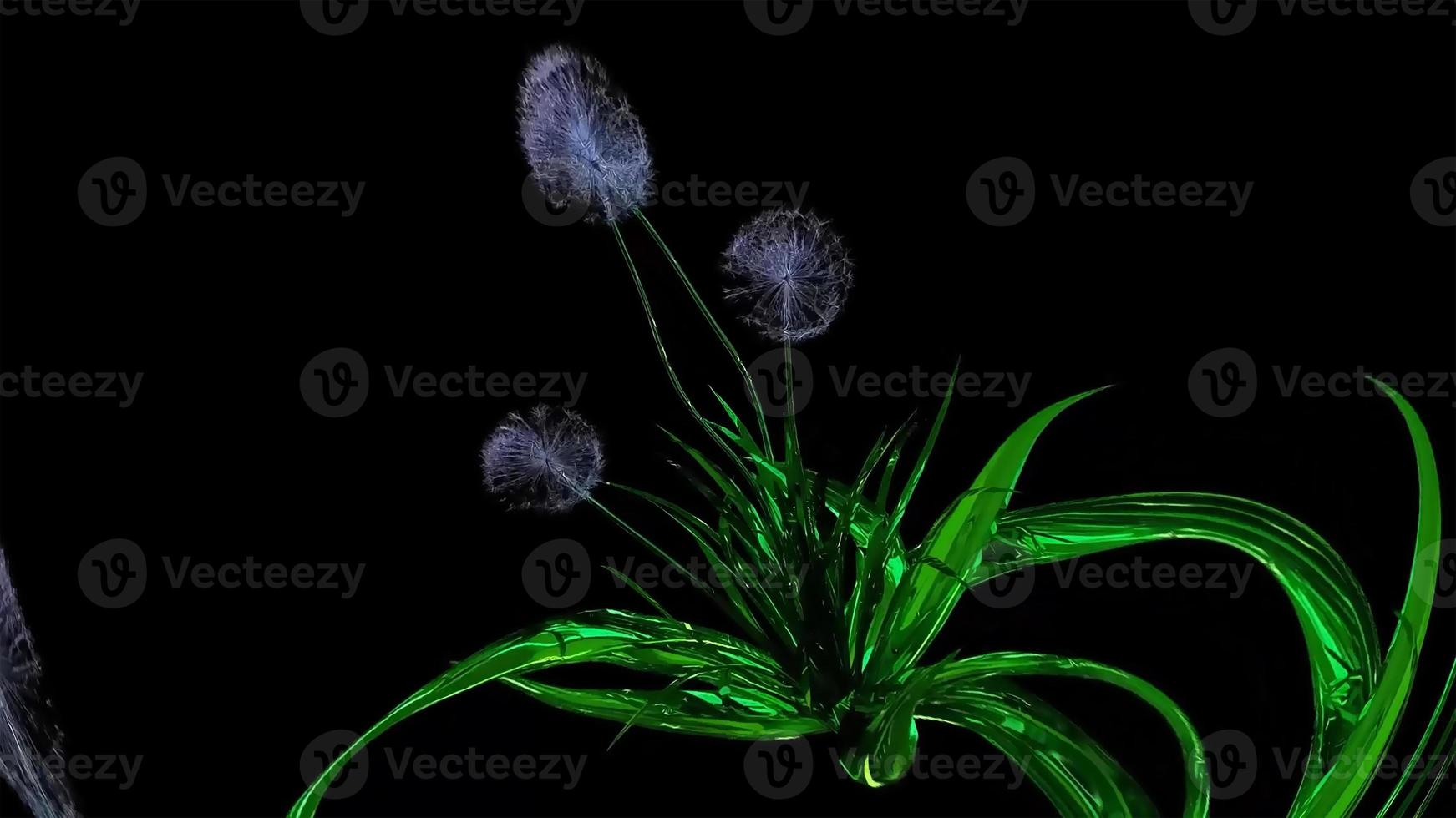 Dandelion Seeds Botanical 3D Rendering photo