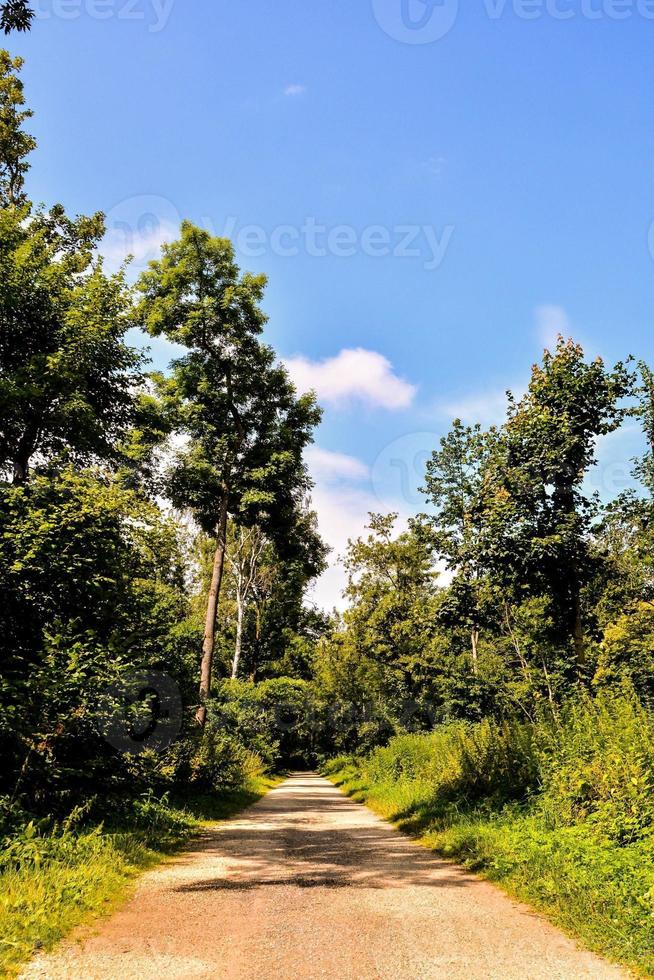 Road in the countryside photo