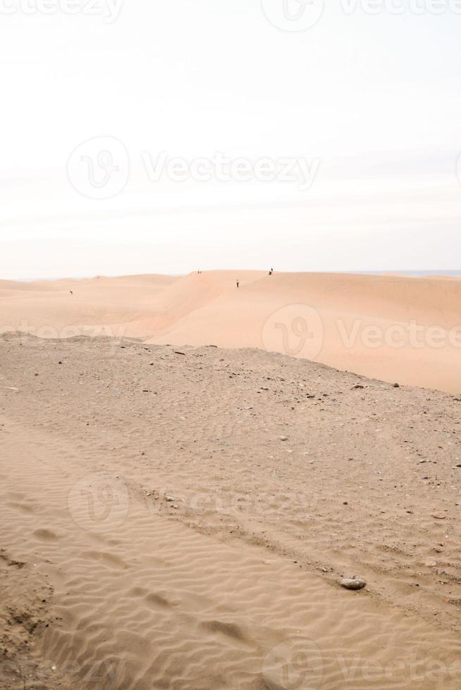 Scenic desert landscape photo