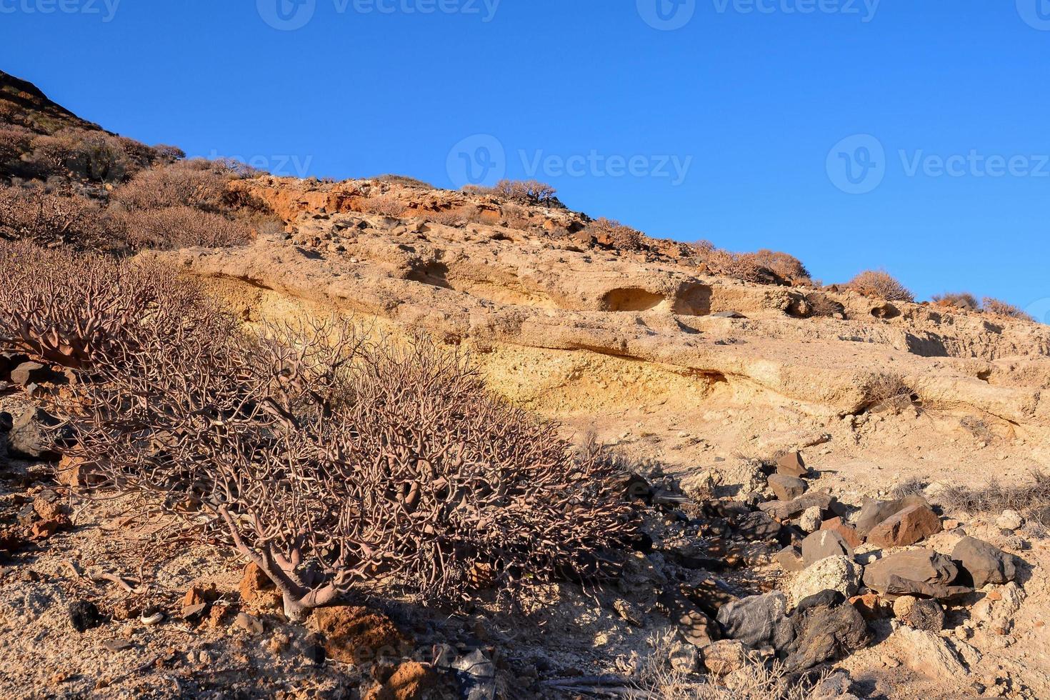 Scenic landscape on Tenerife, Canary Islands, Spain photo