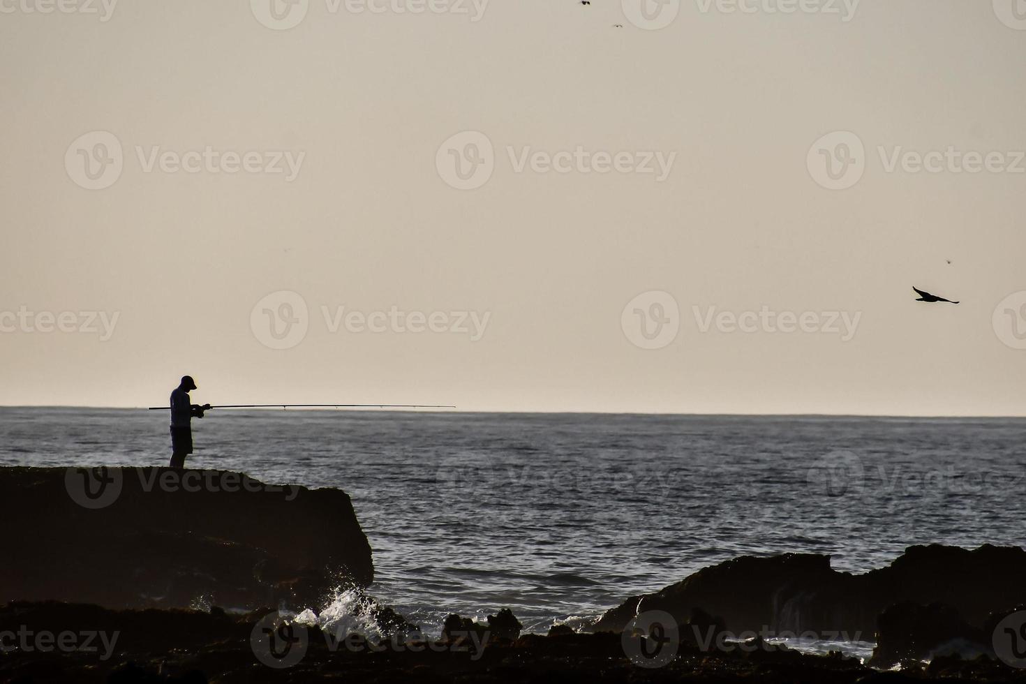 Fishing on the coast photo