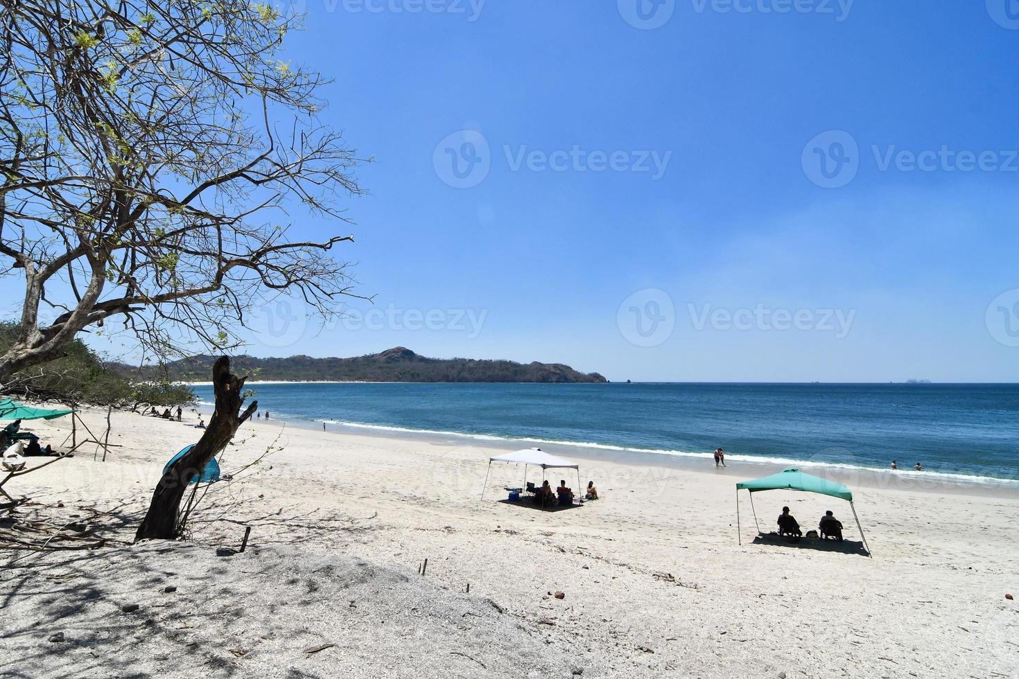 Scenic coastal view photo