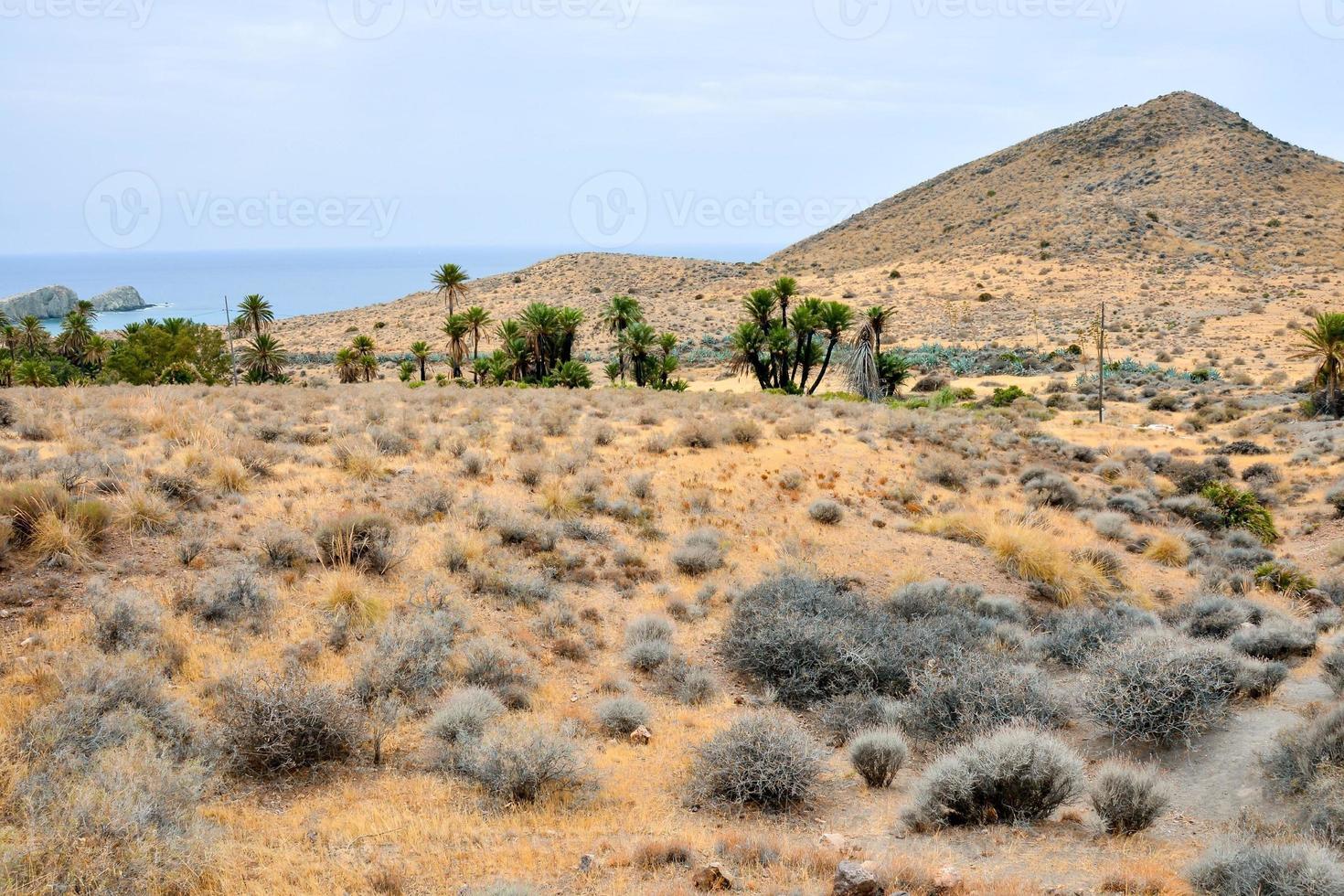 Scenic mountain landscape photo