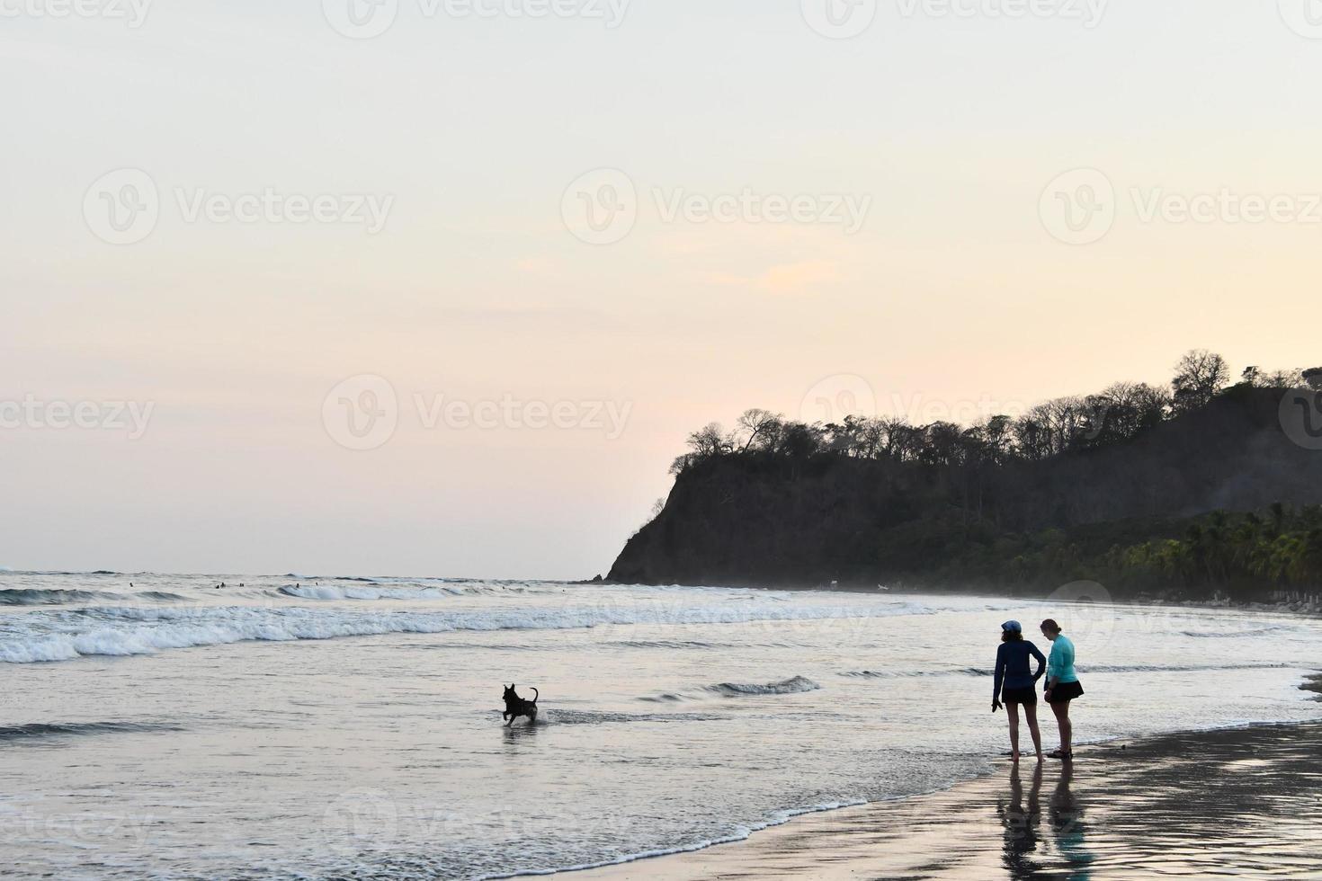 Scenic coastal view photo