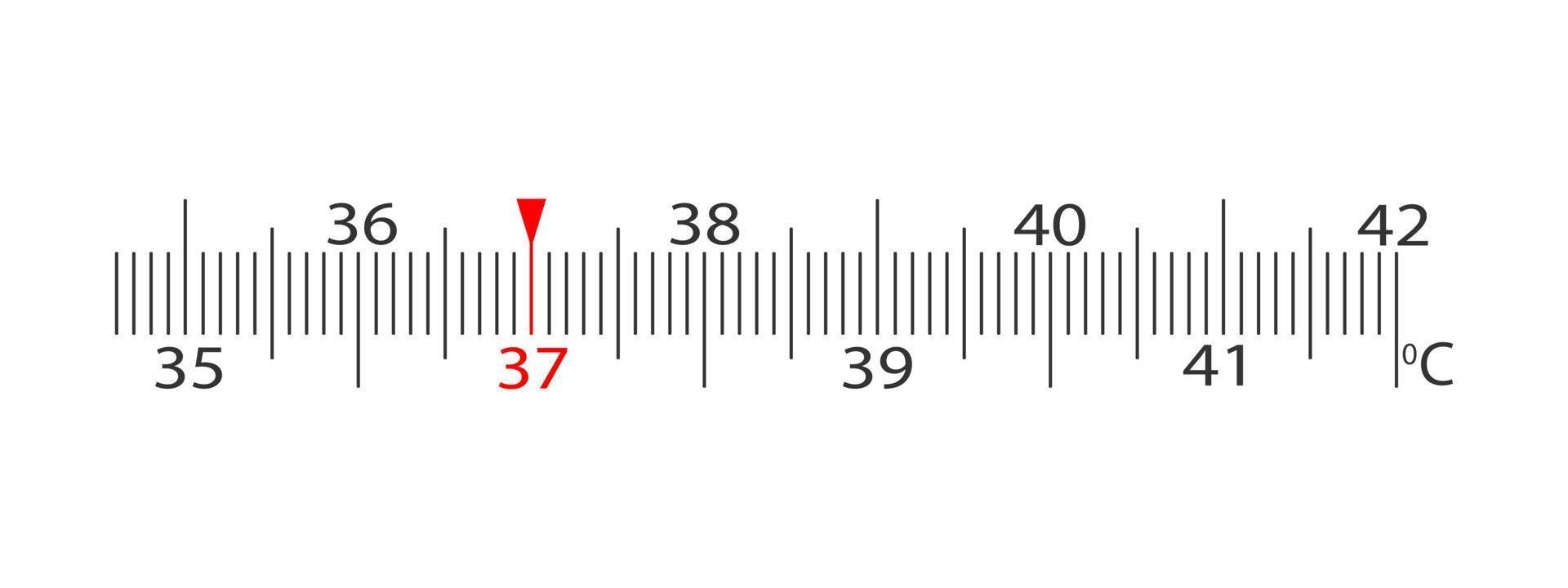 Horizontal scale of body thermometer with temperature marking in Celsius from 35 to 42 degrees. Simple template for medical measuring tool vector