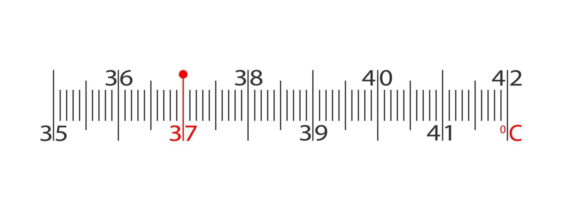 Body thermometer horizontal scale with temperature readings in Celsius. Simple template for medical measuring tool vector