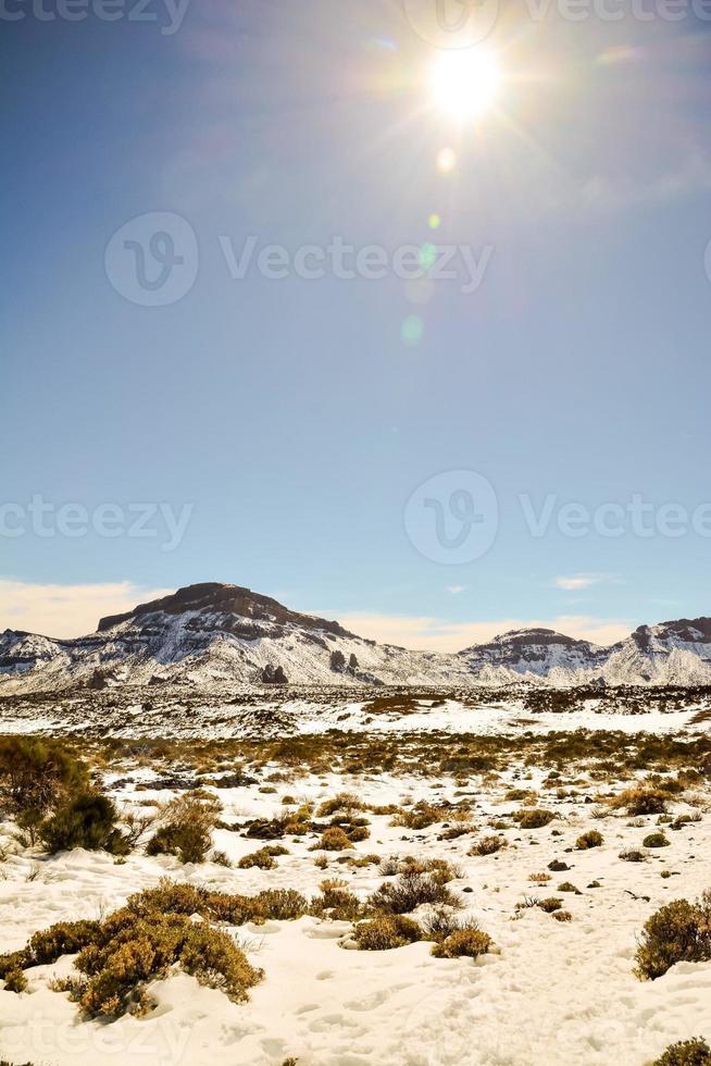 paisaje nevado de invierno foto