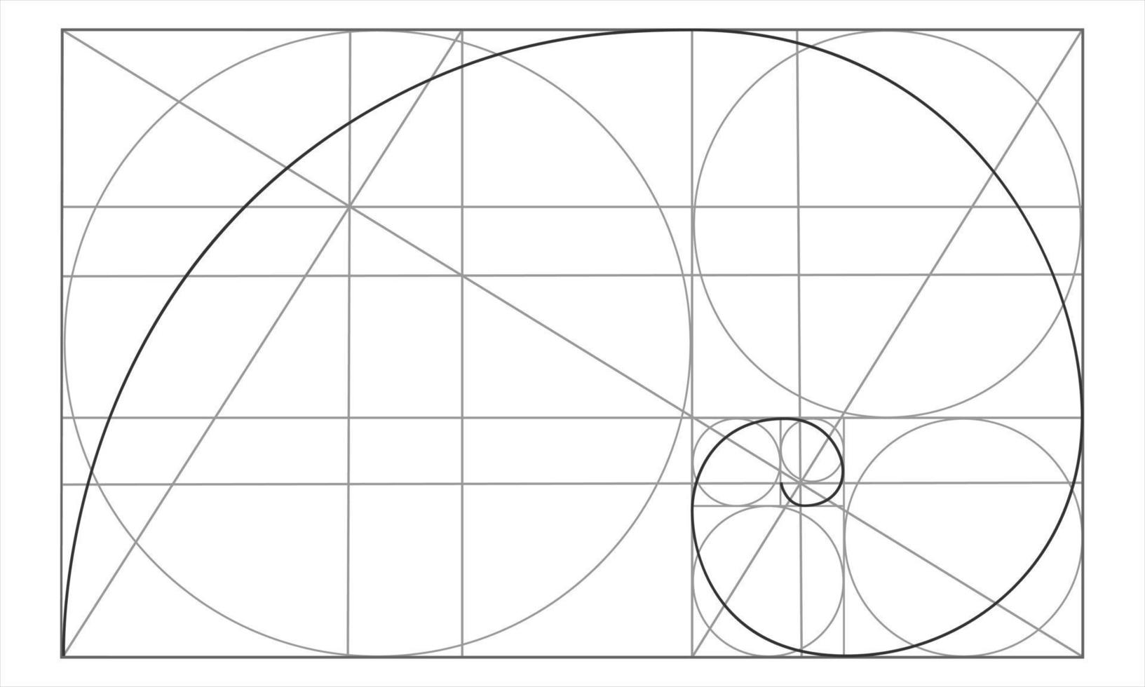 Golden ratio template. Logarithmic spiral in rectangle with circles and crossing lines. Nautilus shell shape. Fibonacci Sequence. Ideal symmetry proportions grid vector