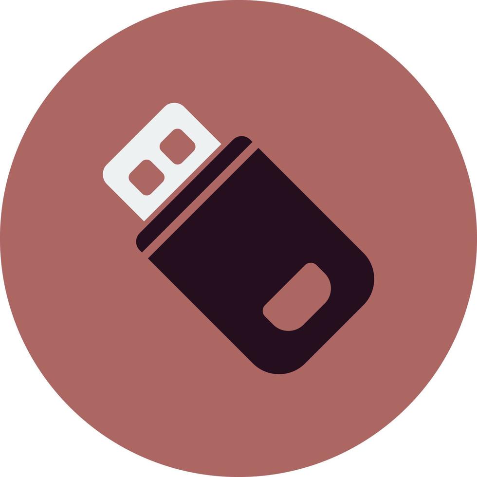 Flash Drive Vector Icon