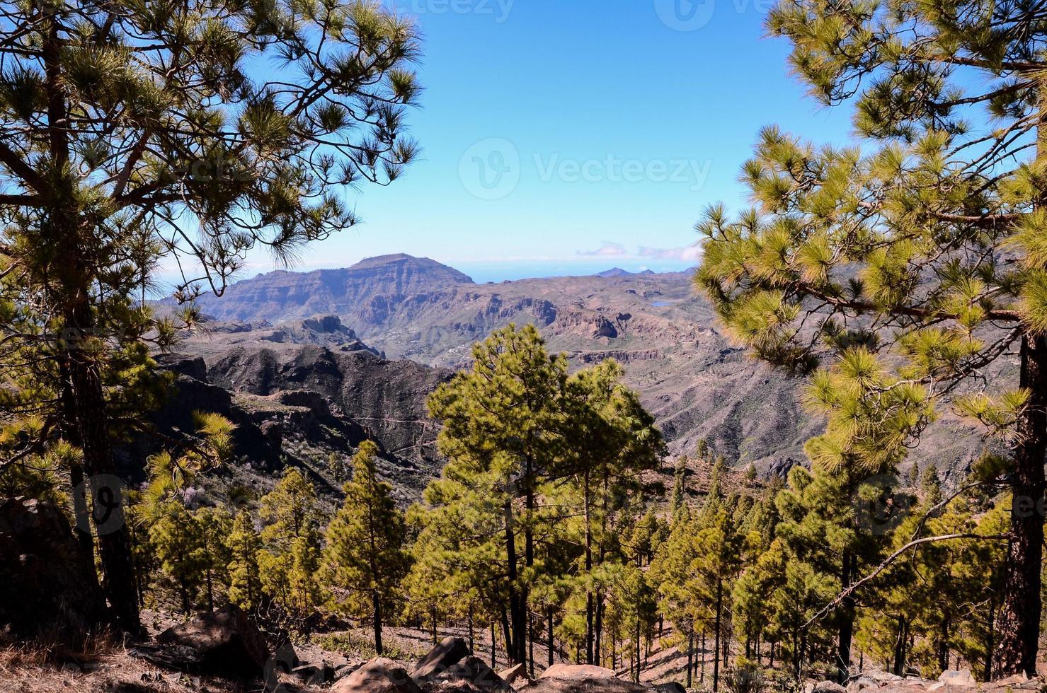 Scenic landscape on Tenerife, Canary Islands, Spain photo