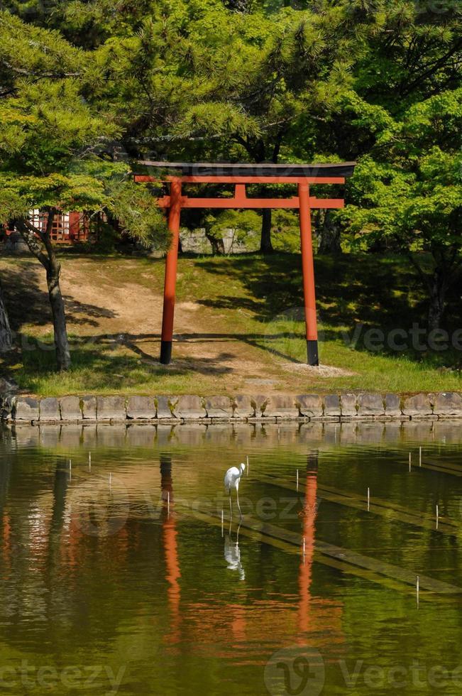 Tori gate in Japan photo