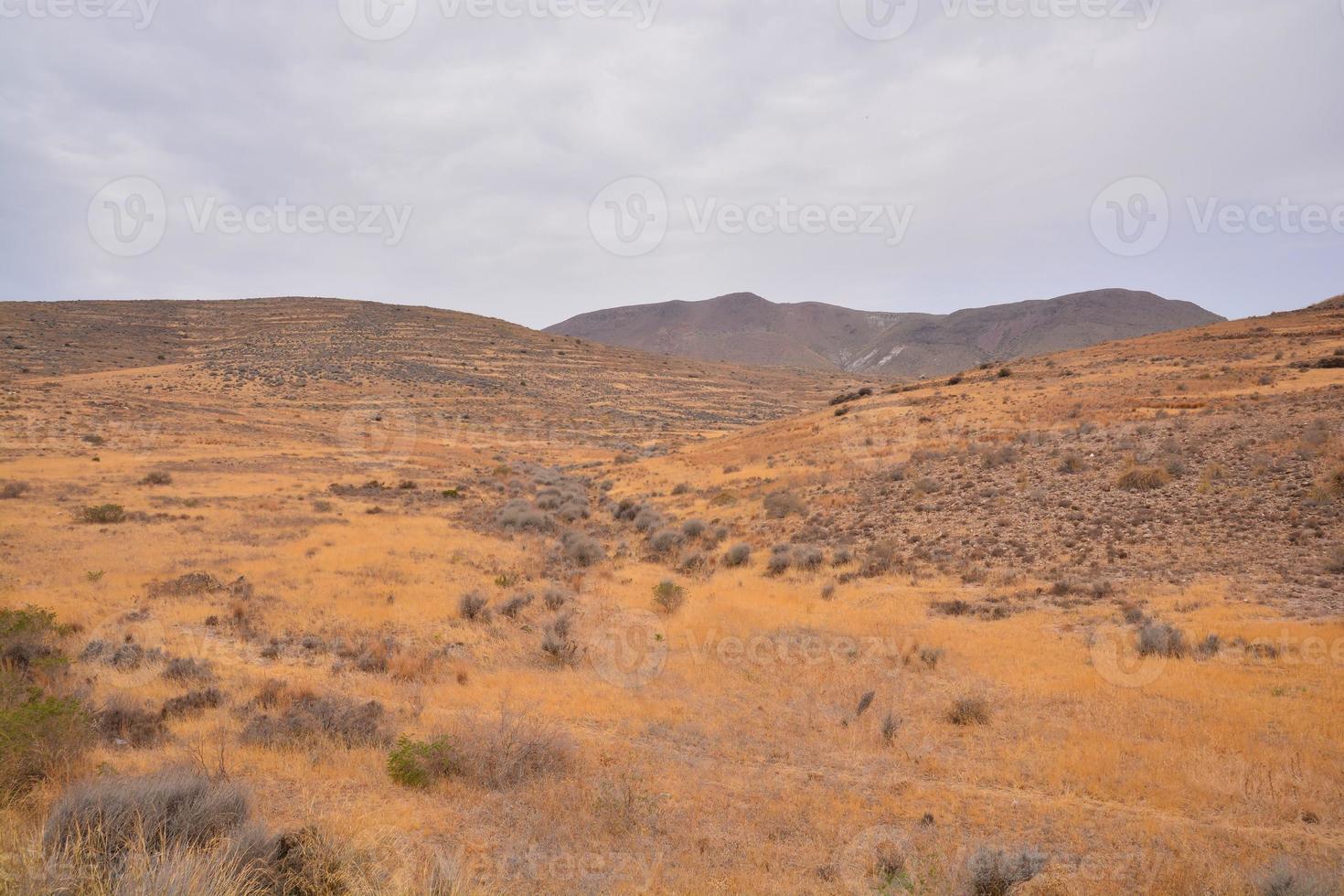 Scenic desert landscape photo