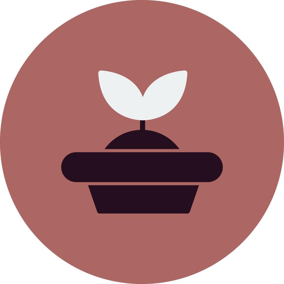 Seed Starter Vector Icon
