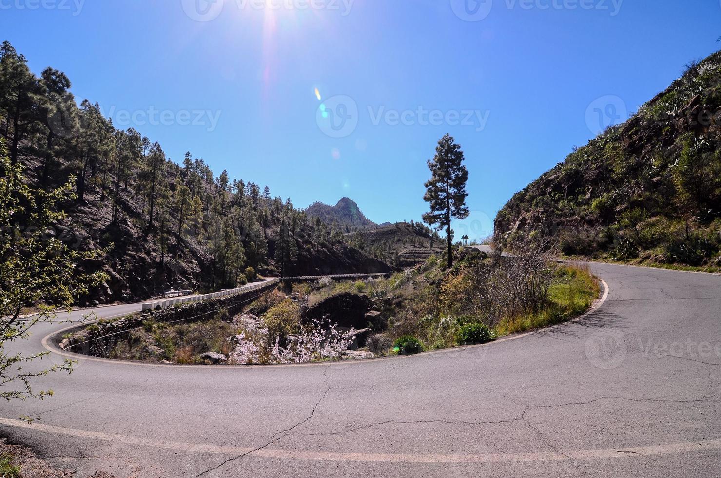 Road in the countryside photo