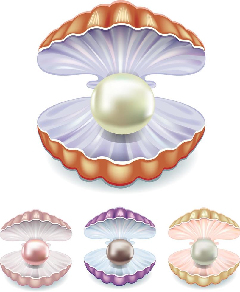 conjunto de conchas de diferente colores y perlas vector