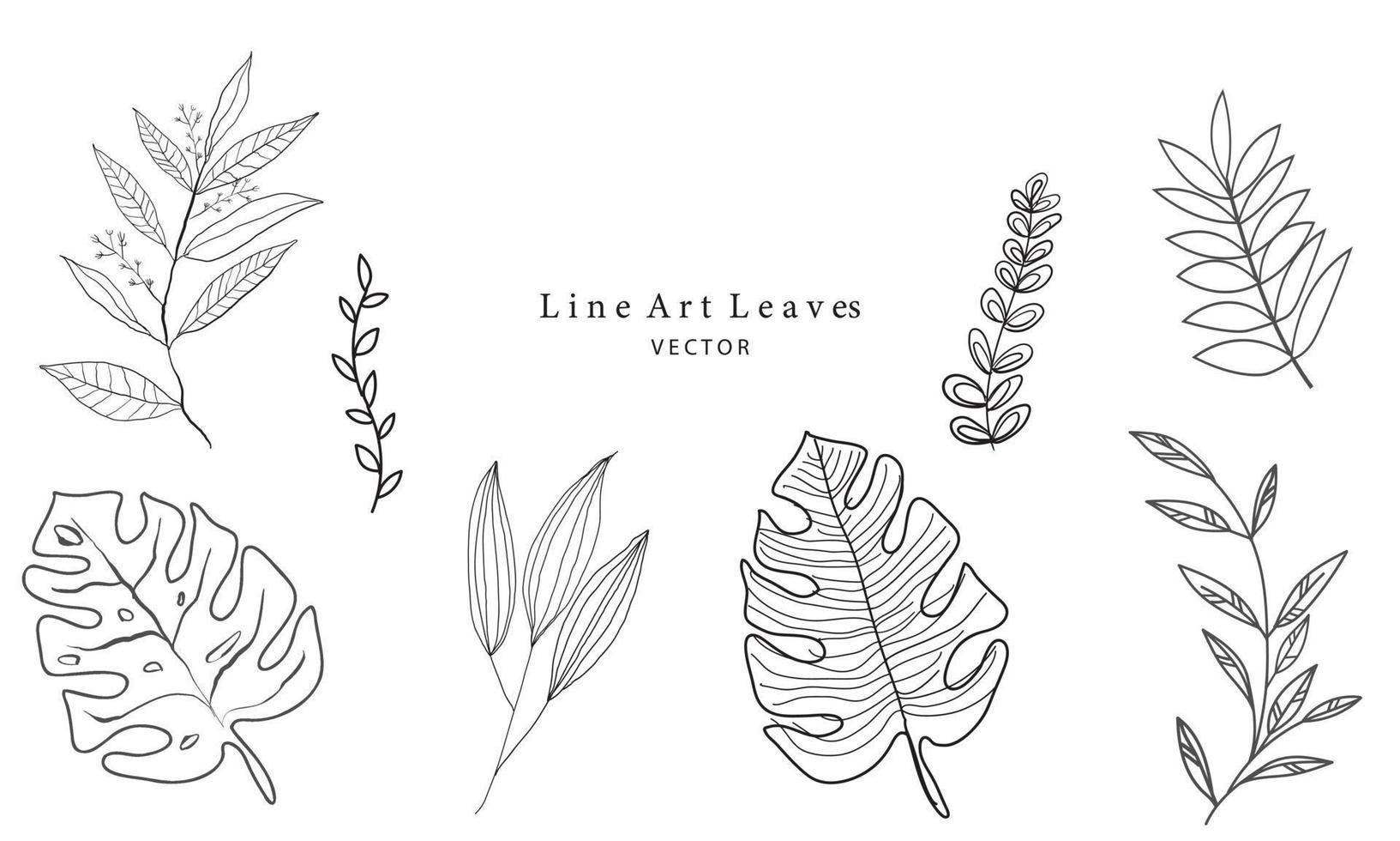 Set of tropical Leaves line art vector