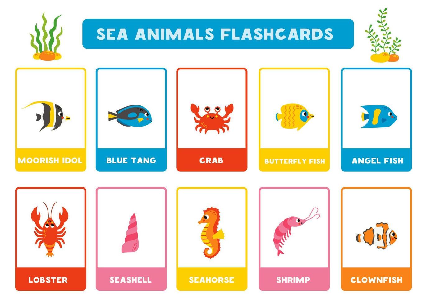 Cute cartoon sea animals with names. Flashcards for learning English. vector