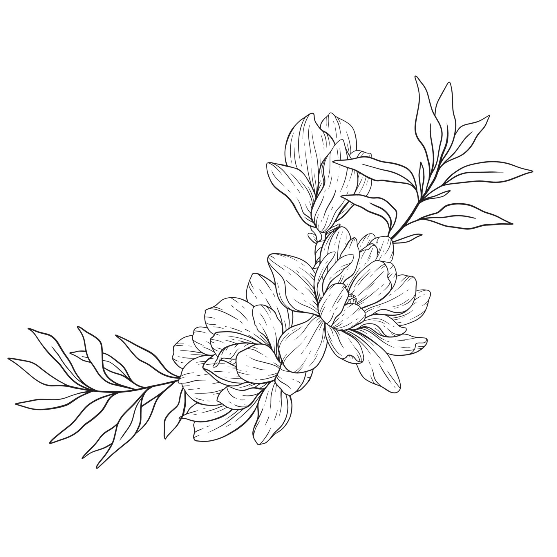 Floral Line Art. Magnolia Flower Outline for Floral Coloring Pages