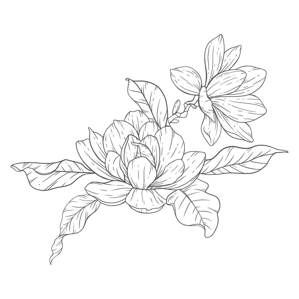 Floral Line Art. Magnolia Outline Flowers for Floral Coloring Pages, Minimalist Modern Wedding Invitations vector