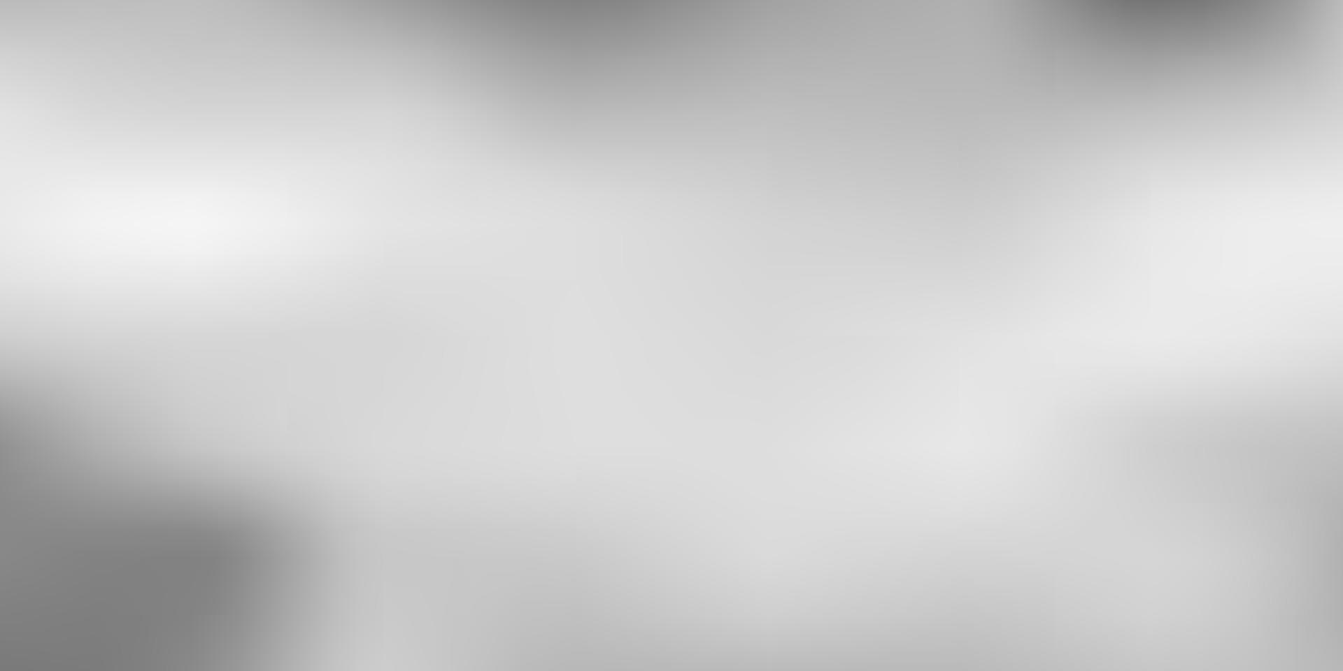 Light gray vector abstract blur layout.