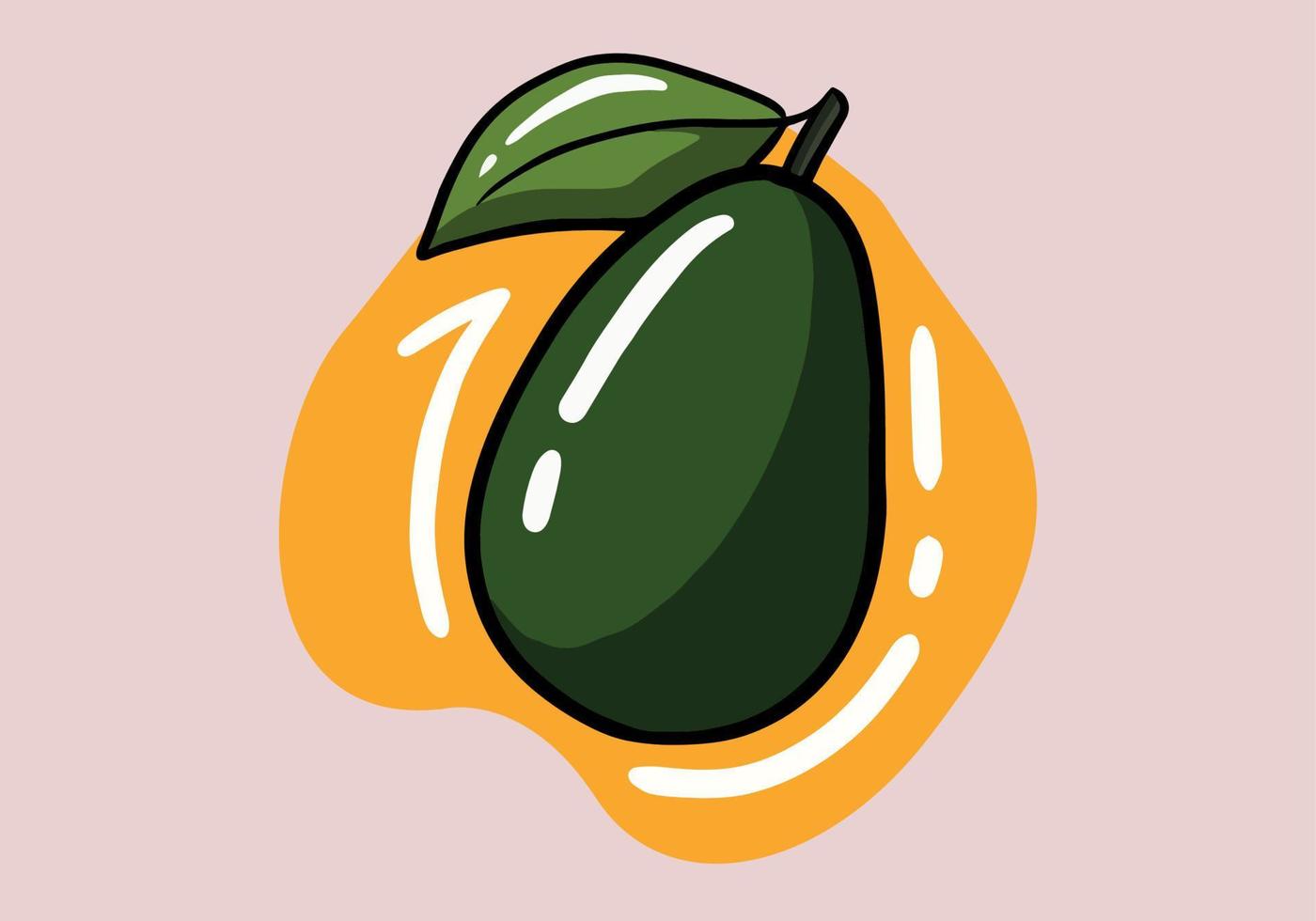 Hand drawn whole green avocado with leaf. isolated on background. Vector illustration.