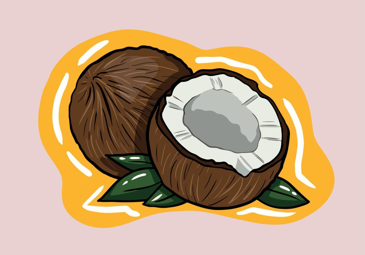 Hand Drawn Detailed Brown Exotic Whole Coconut, Half and Green Leaf. illustration of Fresh Tropical Fruit vector