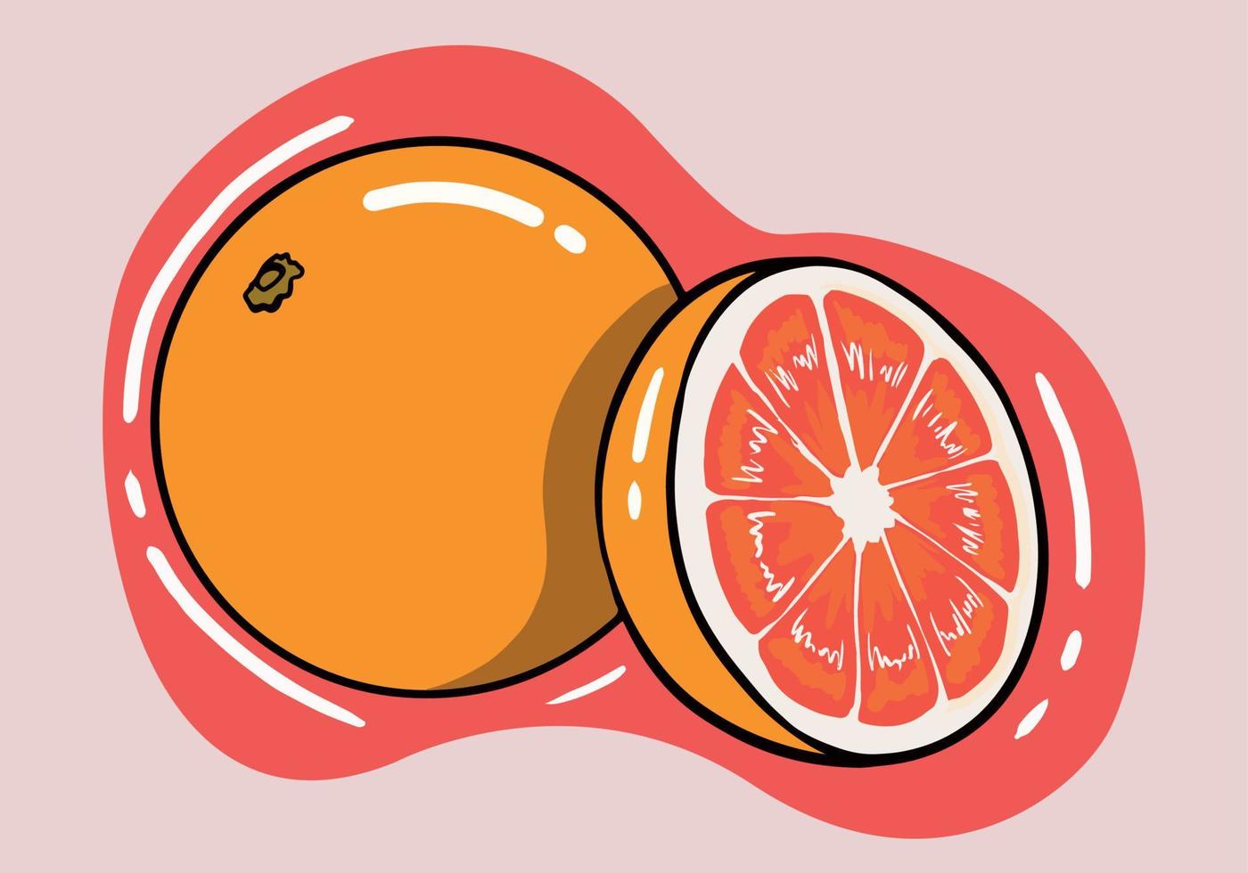 Hand drawn fresh grapefruit and slices isolated background. Cartoon style grapefruit. vector