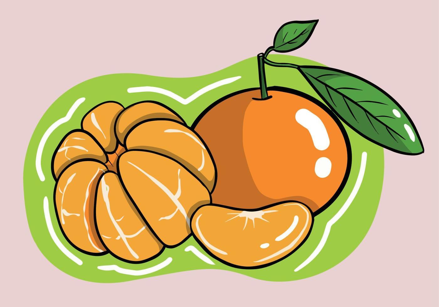 Hand drawn Set of fresh tangerine or mandarin fruits isolated on background. Vector illustration.