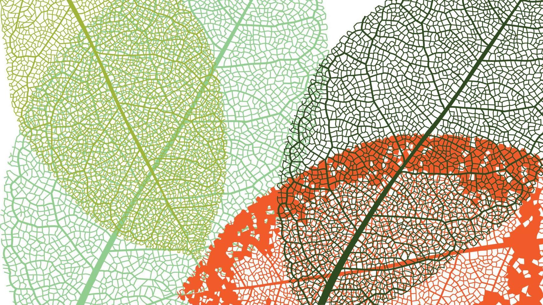macro las venas diferente hojas, estacional hojas antecedentes vector