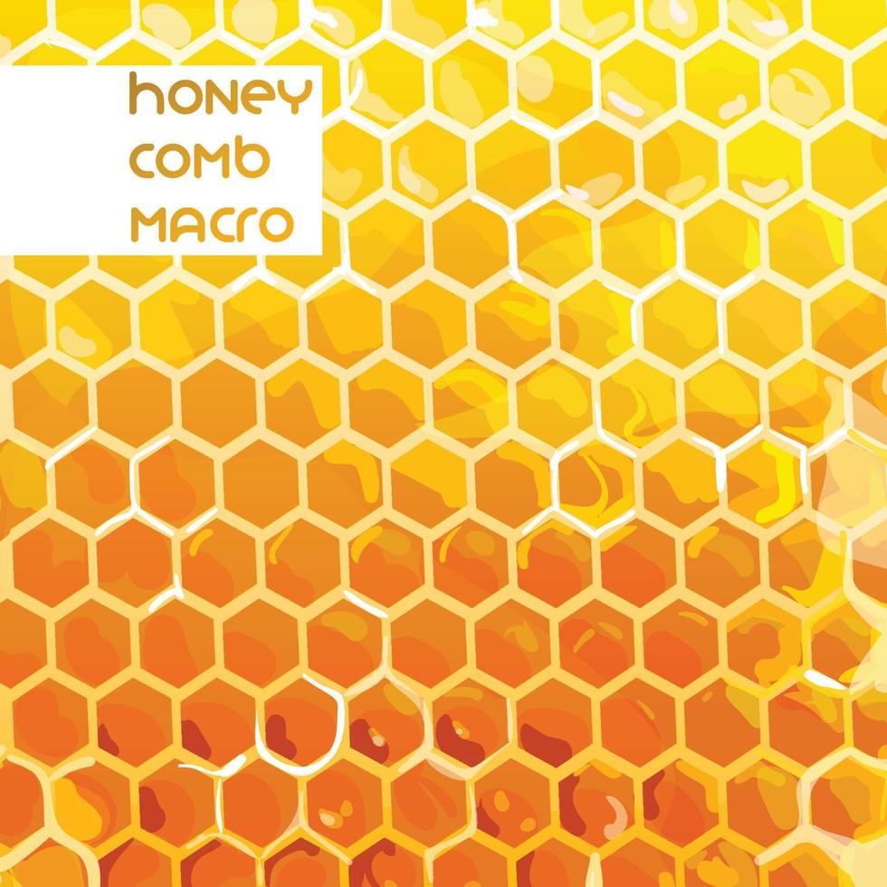 Honeycomb close up view, vector honey wallpaper background
