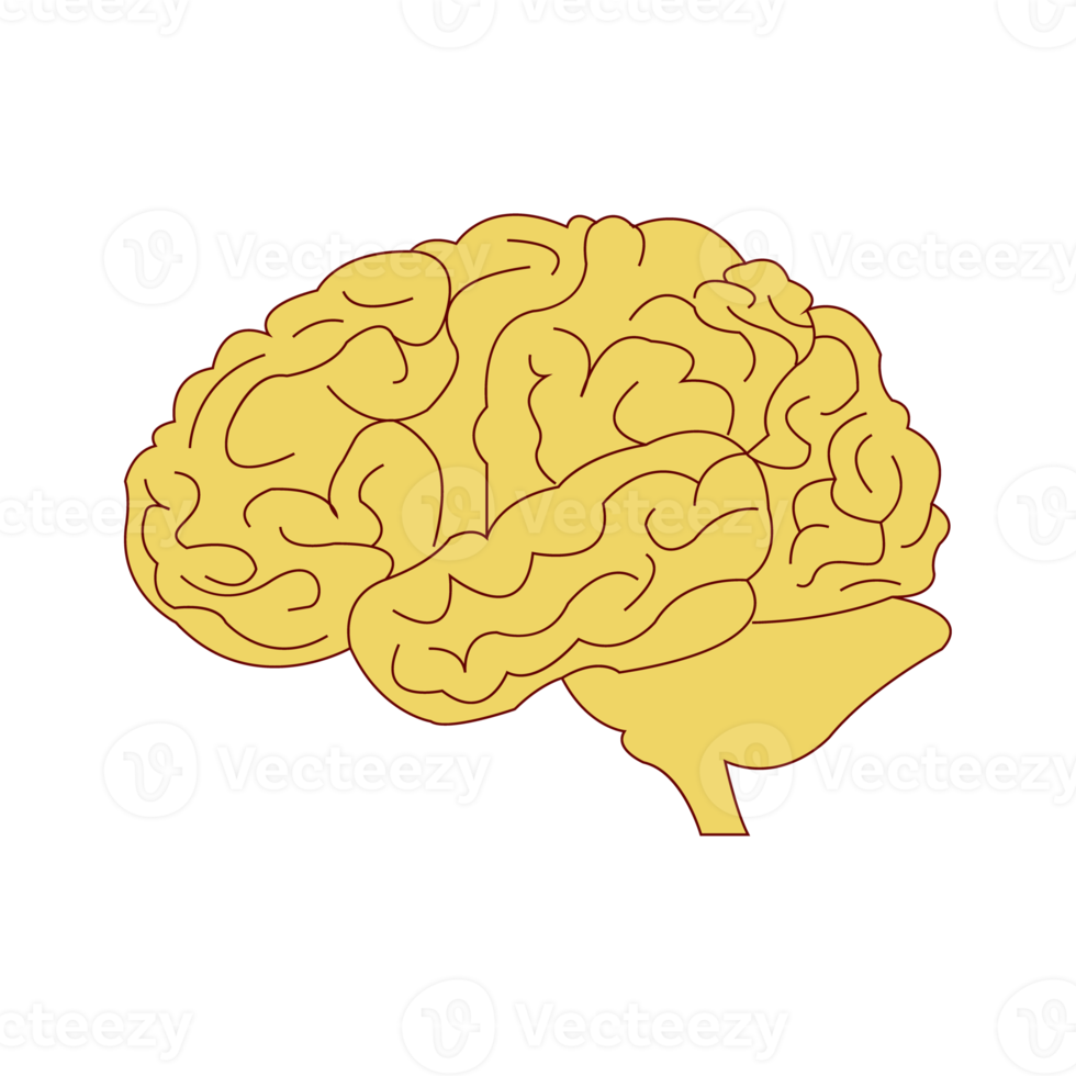 signe de le cerveau symbole png