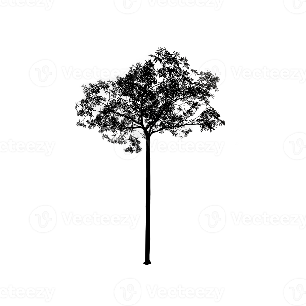 tree black silhouette png