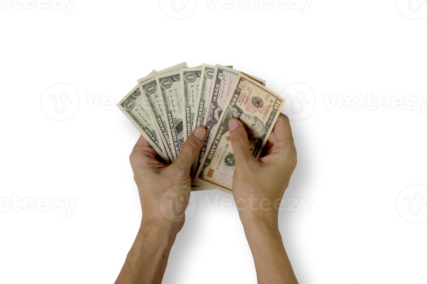 Hand holding money dollars png