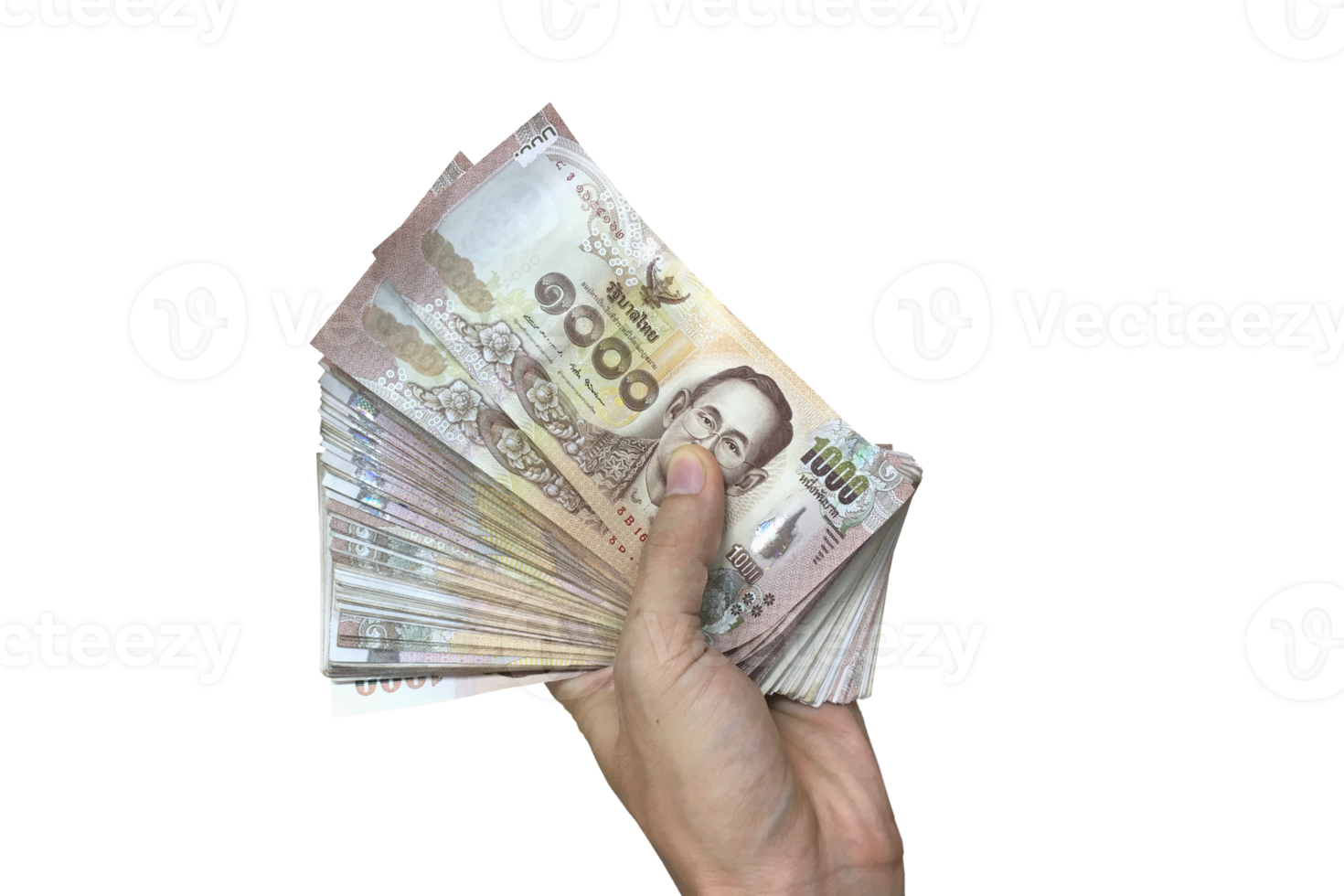 Hand holding money png