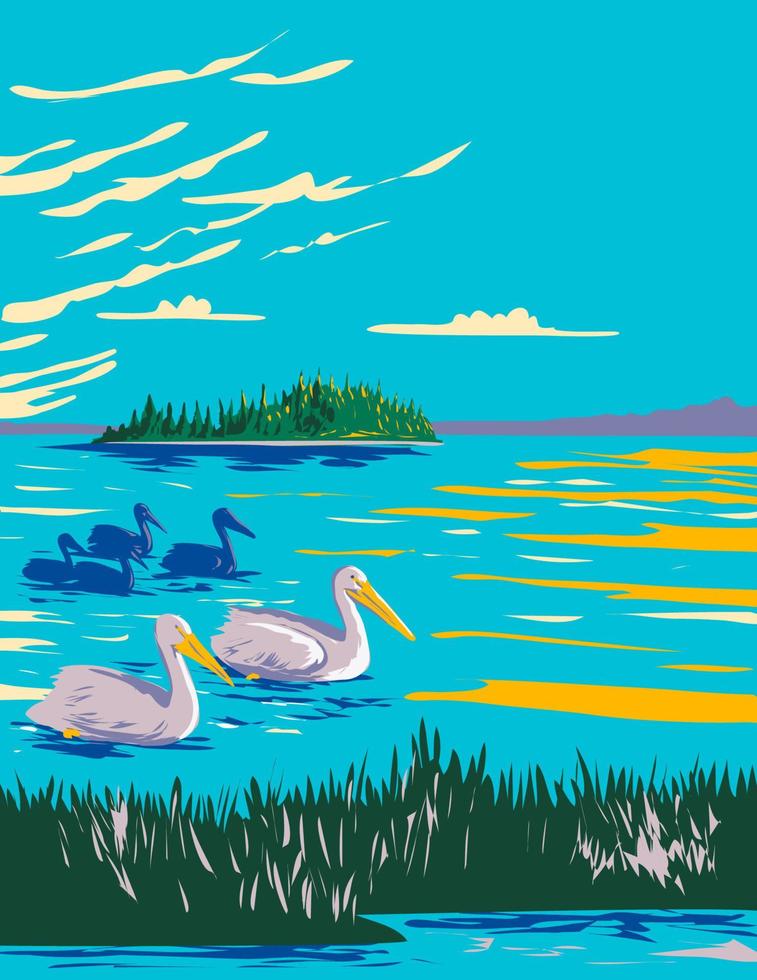 Pelicans in Astotin Lake Within Elk Island National Park in Alberta Canada WPA Poster Art vector