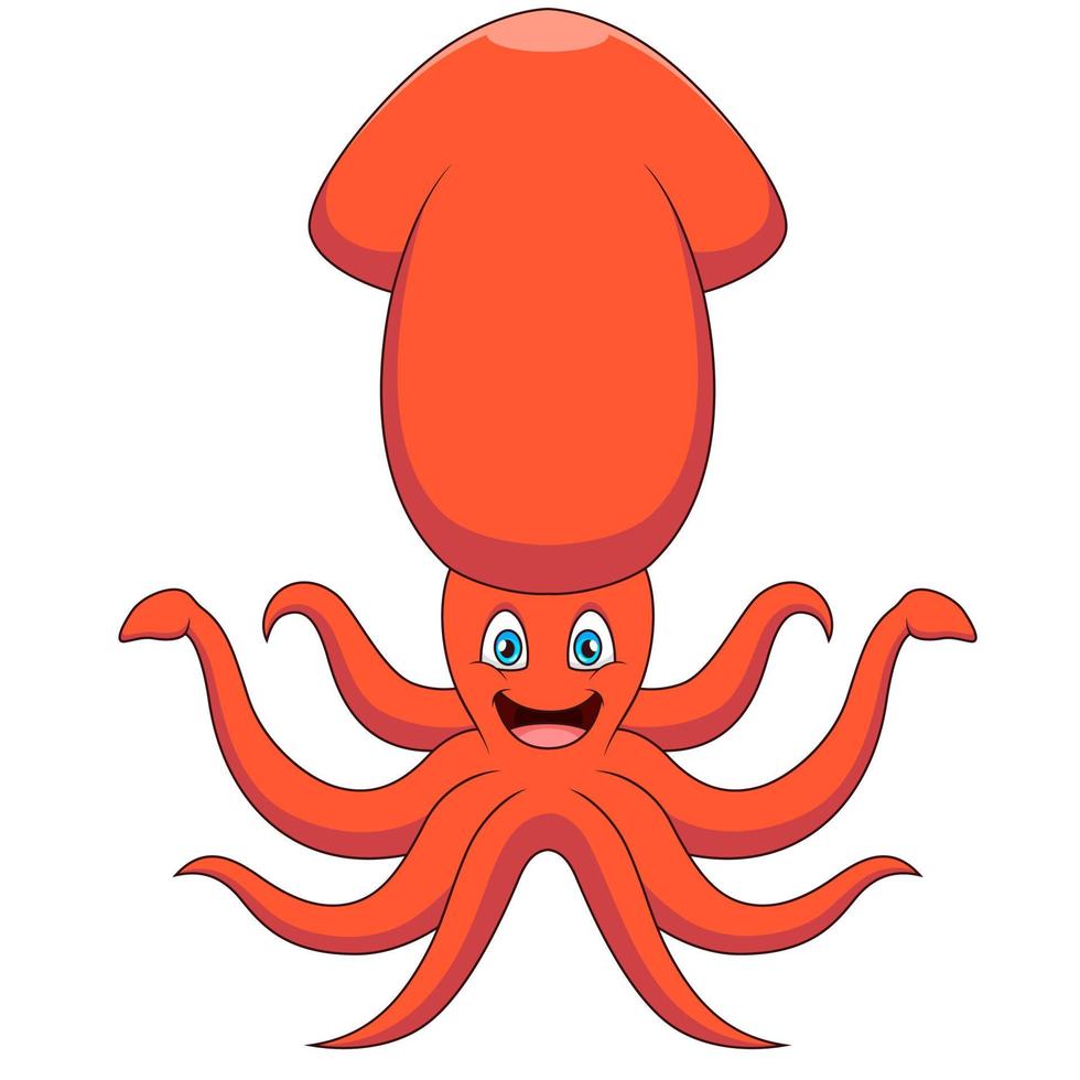 Cartoon cute squid illustration on white background vector